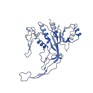 35629_8ip0_I_v1-0
Cryo-EM structure of type I-B Cascade bound to a PAM-containing dsDNA target at 3.6 angstrom resolution