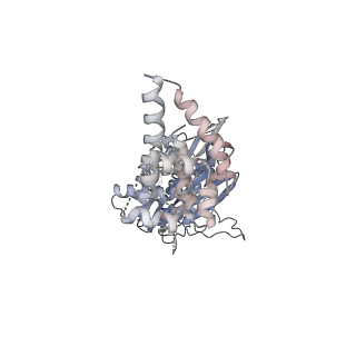 35629_8ip0_J_v1-0
Cryo-EM structure of type I-B Cascade bound to a PAM-containing dsDNA target at 3.6 angstrom resolution