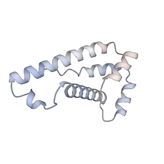 35629_8ip0_K_v1-0
Cryo-EM structure of type I-B Cascade bound to a PAM-containing dsDNA target at 3.6 angstrom resolution