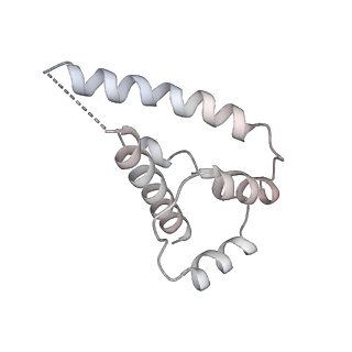 35629_8ip0_L_v1-0
Cryo-EM structure of type I-B Cascade bound to a PAM-containing dsDNA target at 3.6 angstrom resolution