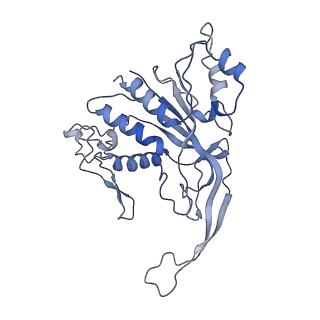 35629_8ip0_N_v1-0
Cryo-EM structure of type I-B Cascade bound to a PAM-containing dsDNA target at 3.6 angstrom resolution