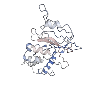 35629_8ip0_O_v1-0
Cryo-EM structure of type I-B Cascade bound to a PAM-containing dsDNA target at 3.6 angstrom resolution