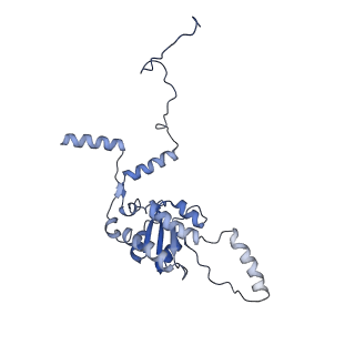 35634_8ip8_AA_v1-0
Wheat 80S ribosome stalled on AUG-Stop boron dependently