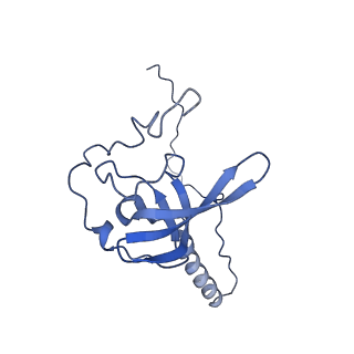 35634_8ip8_BA_v1-0
Wheat 80S ribosome stalled on AUG-Stop boron dependently