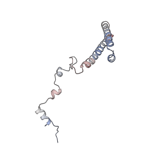 35634_8ip8_BB_v1-0
Wheat 80S ribosome stalled on AUG-Stop boron dependently