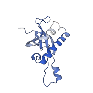 35634_8ip8_CA_v1-0
Wheat 80S ribosome stalled on AUG-Stop boron dependently