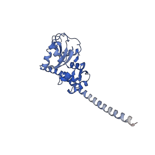 35634_8ip8_CB_v1-0
Wheat 80S ribosome stalled on AUG-Stop boron dependently