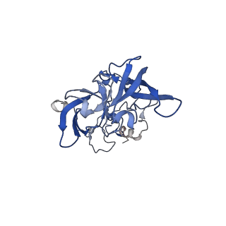 35634_8ip8_DA_v1-0
Wheat 80S ribosome stalled on AUG-Stop boron dependently