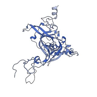 35634_8ip8_DB_v1-0
Wheat 80S ribosome stalled on AUG-Stop boron dependently