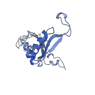 35634_8ip8_EA_v1-0
Wheat 80S ribosome stalled on AUG-Stop boron dependently