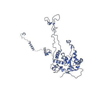 35634_8ip8_EB_v1-0
Wheat 80S ribosome stalled on AUG-Stop boron dependently