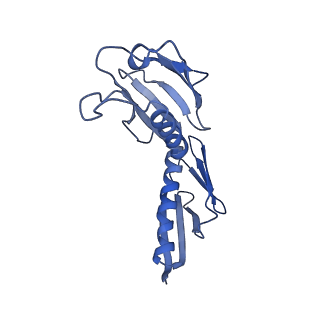 35634_8ip8_FA_v1-0
Wheat 80S ribosome stalled on AUG-Stop boron dependently