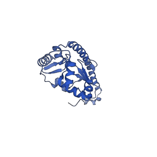 35634_8ip8_FB_v1-0
Wheat 80S ribosome stalled on AUG-Stop boron dependently