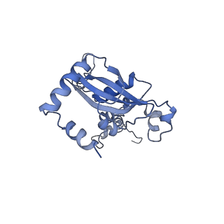 35634_8ip8_HA_v1-0
Wheat 80S ribosome stalled on AUG-Stop boron dependently