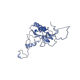 35634_8ip8_HB_v1-0
Wheat 80S ribosome stalled on AUG-Stop boron dependently