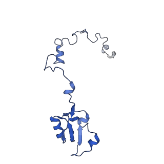 35634_8ip8_IA_v1-0
Wheat 80S ribosome stalled on AUG-Stop boron dependently