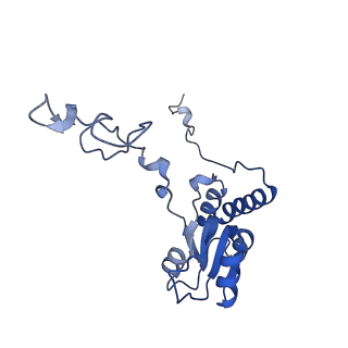 35634_8ip8_JA_v1-0
Wheat 80S ribosome stalled on AUG-Stop boron dependently