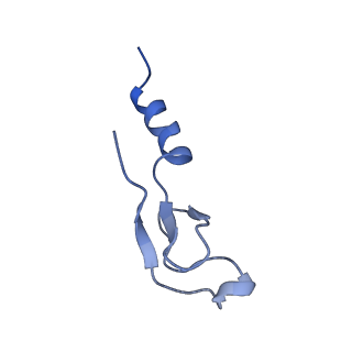 35634_8ip8_JB_v1-0
Wheat 80S ribosome stalled on AUG-Stop boron dependently