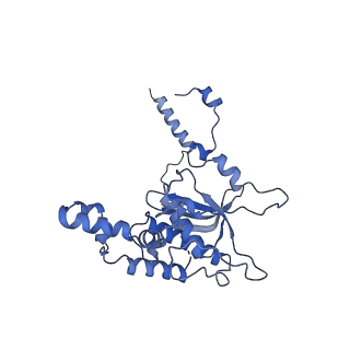 35634_8ip8_KA_v1-0
Wheat 80S ribosome stalled on AUG-Stop boron dependently