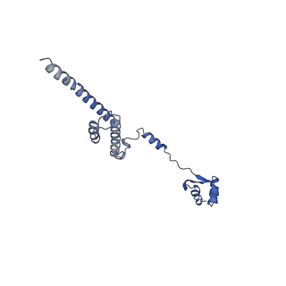 35634_8ip8_LA_v1-0
Wheat 80S ribosome stalled on AUG-Stop boron dependently