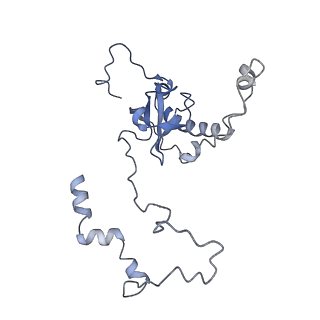 35634_8ip8_LB_v1-0
Wheat 80S ribosome stalled on AUG-Stop boron dependently