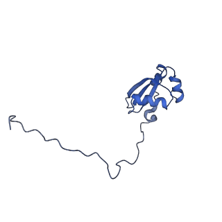 35634_8ip8_NA_v1-0
Wheat 80S ribosome stalled on AUG-Stop boron dependently