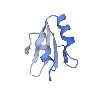 35634_8ip8_NB_v1-0
Wheat 80S ribosome stalled on AUG-Stop boron dependently