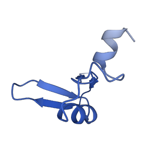 35634_8ip8_OA_v1-0
Wheat 80S ribosome stalled on AUG-Stop boron dependently