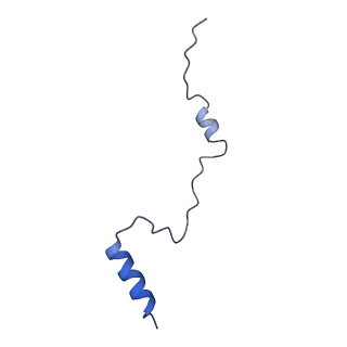 35634_8ip8_OB_v1-0
Wheat 80S ribosome stalled on AUG-Stop boron dependently