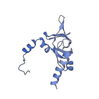 35634_8ip8_PA_v1-0
Wheat 80S ribosome stalled on AUG-Stop boron dependently