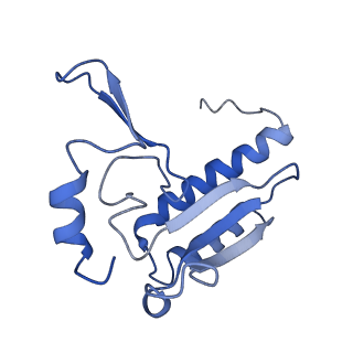 35634_8ip8_QA_v1-0
Wheat 80S ribosome stalled on AUG-Stop boron dependently