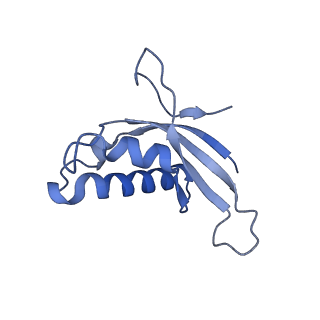 35634_8ip8_SA_v1-0
Wheat 80S ribosome stalled on AUG-Stop boron dependently