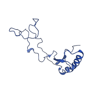 35634_8ip8_TA_v1-0
Wheat 80S ribosome stalled on AUG-Stop boron dependently