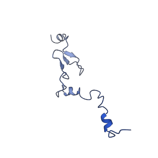 35634_8ip8_UA_v1-0
Wheat 80S ribosome stalled on AUG-Stop boron dependently