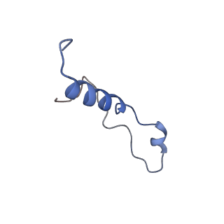 35634_8ip8_VA_v1-0
Wheat 80S ribosome stalled on AUG-Stop boron dependently