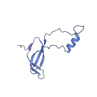 35634_8ip8_WA_v1-0
Wheat 80S ribosome stalled on AUG-Stop boron dependently