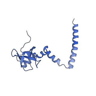 35634_8ip8_XA_v1-0
Wheat 80S ribosome stalled on AUG-Stop boron dependently