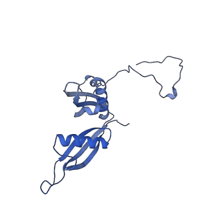 35634_8ip8_YA_v1-0
Wheat 80S ribosome stalled on AUG-Stop boron dependently