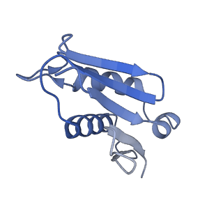 35634_8ip8_ZA_v1-0
Wheat 80S ribosome stalled on AUG-Stop boron dependently