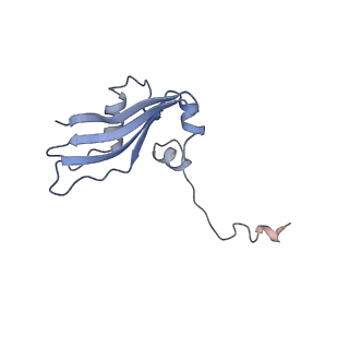 35634_8ip8_ba_v1-0
Wheat 80S ribosome stalled on AUG-Stop boron dependently