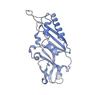 35634_8ip8_bb_v1-0
Wheat 80S ribosome stalled on AUG-Stop boron dependently