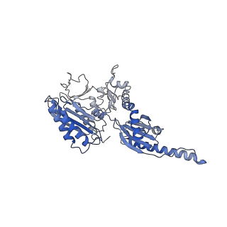 35634_8ip8_bl_v1-0
Wheat 80S ribosome stalled on AUG-Stop boron dependently