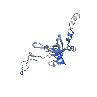 35634_8ip8_ca_v1-0
Wheat 80S ribosome stalled on AUG-Stop boron dependently