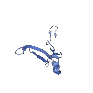 35634_8ip8_cb_v1-0
Wheat 80S ribosome stalled on AUG-Stop boron dependently