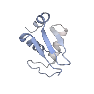 35634_8ip8_da_v1-0
Wheat 80S ribosome stalled on AUG-Stop boron dependently