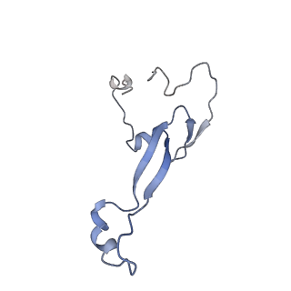 35634_8ip8_db_v1-0
Wheat 80S ribosome stalled on AUG-Stop boron dependently