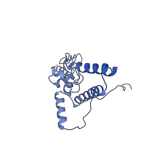 35634_8ip8_eb_v1-0
Wheat 80S ribosome stalled on AUG-Stop boron dependently