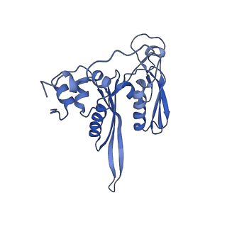 35634_8ip8_fb_v1-0
Wheat 80S ribosome stalled on AUG-Stop boron dependently