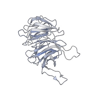 35634_8ip8_ha_v1-0
Wheat 80S ribosome stalled on AUG-Stop boron dependently