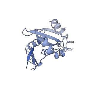 35634_8ip8_hb_v1-0
Wheat 80S ribosome stalled on AUG-Stop boron dependently